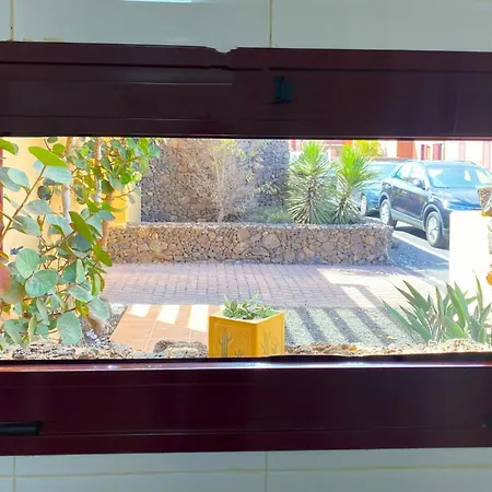 Marlau Con Piscina Privada * La Oliva