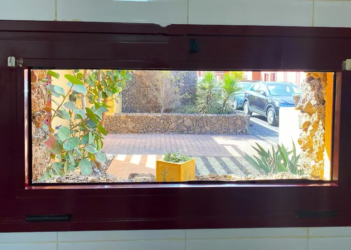 Marlau Con Piscina Privada * La Oliva